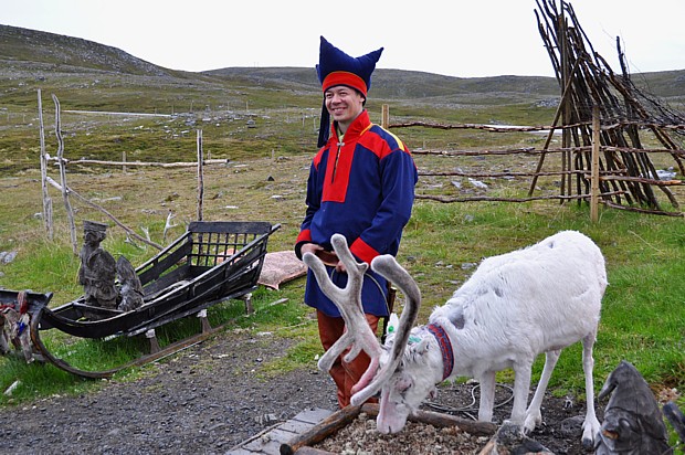 Same mit Rentier nahe des Nordkapps