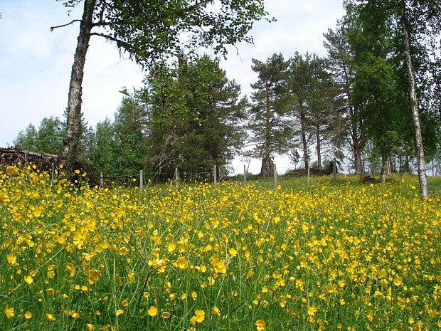 Fruehling im Gebirge – Nordfjord