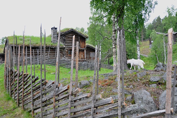 Norwegerzaun in Lillehammer