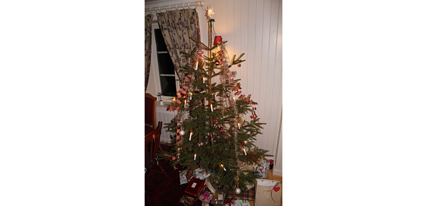 Norwegischer Weihnachtsbaum