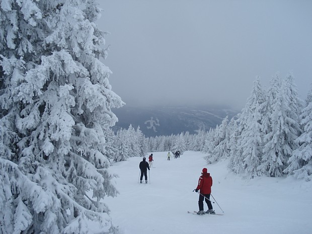 Ski fahren Hafjell Winter