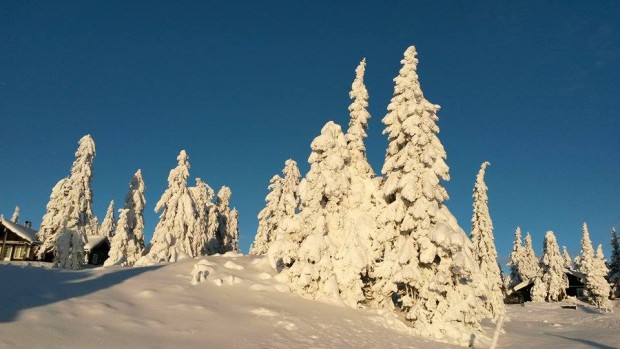 Toller Winter mit viel Schnee in Lillehammer