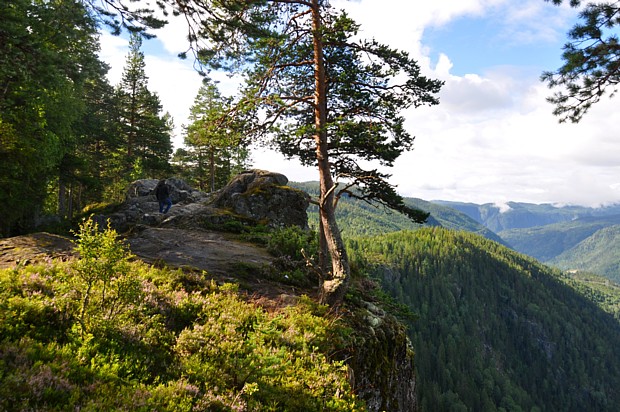 Flydalsjuvet Schlucht Telemark