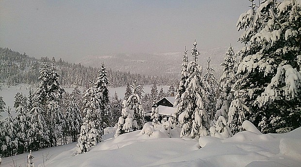 Nissedal Winter und Schnee Copyright Tessa Winter