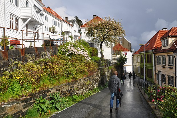 Fruehling Bergen, Frühling, Blumen