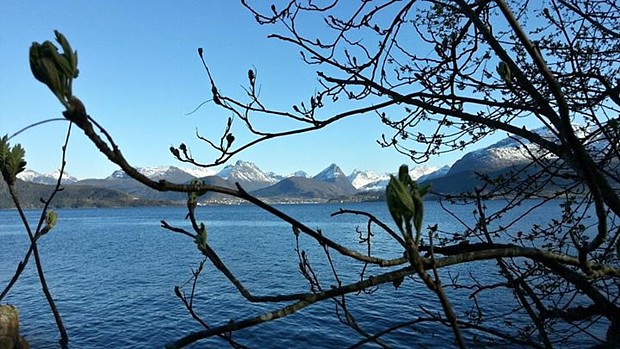 Ostern Heiko Scholze Fjord Frühling Blüte