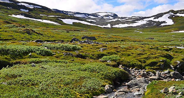 Wandern Gebirge Jotunheimen2