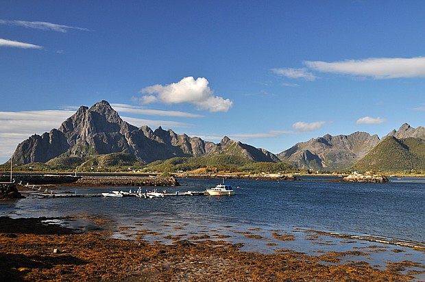 Lofoten Ørsvågvær Berge