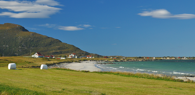 Lofoten Strand Landwirtschaft