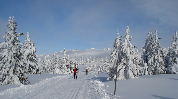 Langlauf Schnee Winter Ski