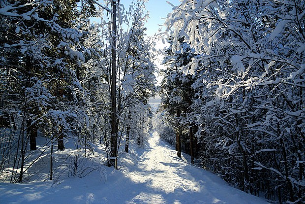 Alta Winter Schnee Baum Wald Weg