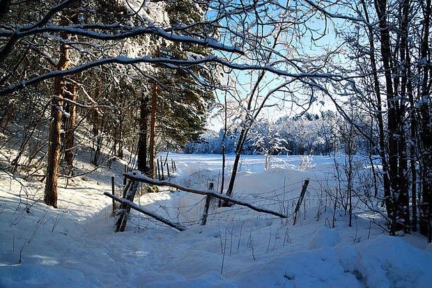 Alta Winter Schnee Zaun Wald