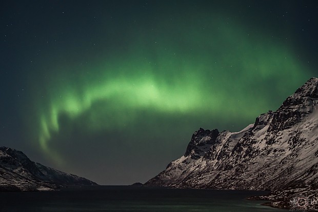 Polarlicht  über Nord-Norwegen – Copyright Natur im Fokus