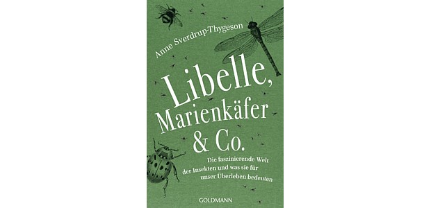 Libelle Marienkaefer Buch